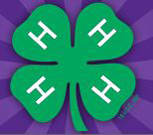 Anaheim summer camps